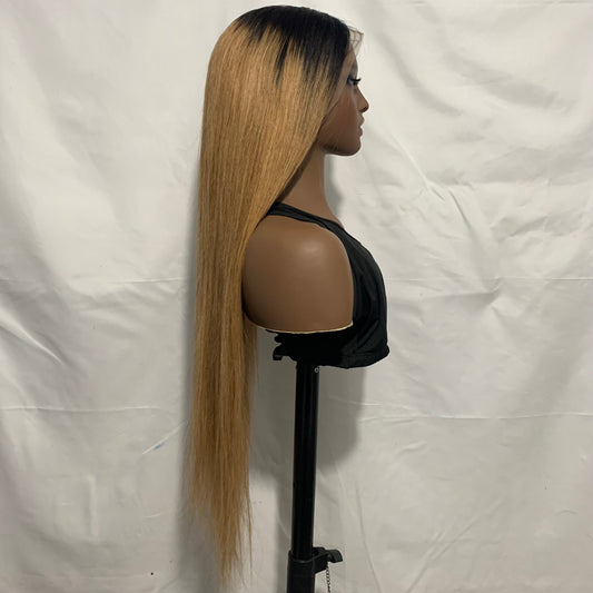 250% Density 100% Human Hair Wigs 13x4 Lace Frontal Wig Straight Hair