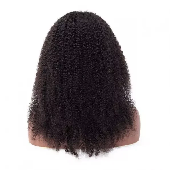 Afro Curly 13x4 Lace Frontal Wig 100% Human Hair Wigs