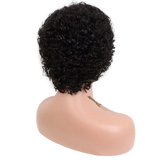 13x4 Lace Front Pixie Wigs Virgin Hair Short Curly Wigs Lace Frontal Short Human Hair Wig