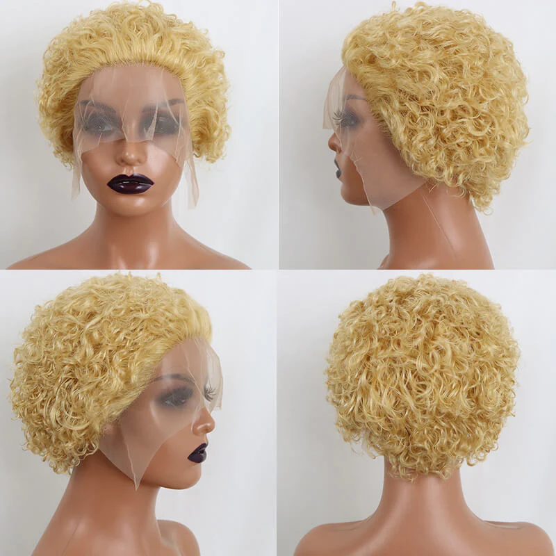 Curly Human Hair Wigs Pixie Cut Wig Colored Human Hair Wigs Cheap Wig Preplucked Hairline Wig For Women
